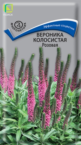 Семена Вероника колосистая Розовая, 0,1 г - фото