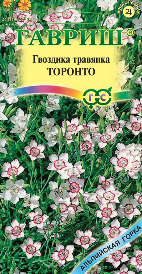Семена Гвоздика травянка Торонто, 0,05 г - фото