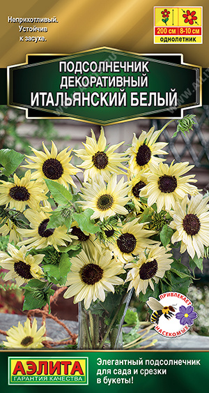 Семена Подсолнечник декоративный Итальянский белый, 0,3 г - фото