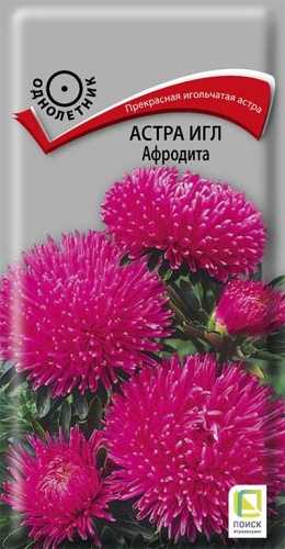 astra_igl_afrodita_poisk_2025.jpg - фото