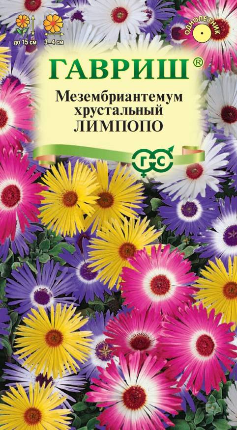 Семена Мезембриантемум хрустальный Лимпопо, 0,05 г - фото