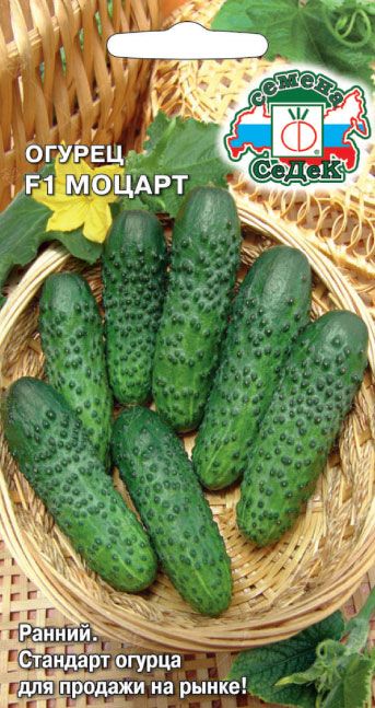 Семена Огурец Моцарт F1 - фото