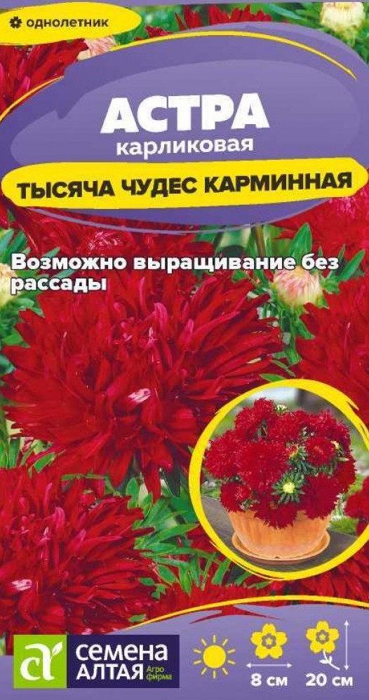 Семена Астра Тысяча чудес карминная карликовая, 0,15 г - фото