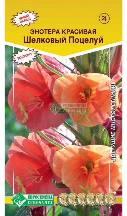 Семена Энотера красивая Шелковый поцелуй, 0,1 г - фото