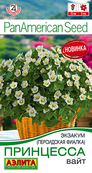 Семена Экзакум (Персидская фиалка) Принцесса вайт, 4 шт - фото