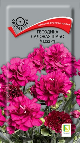 Семена Гвоздика садовая Шабо Маджента, 0,1 г - фото