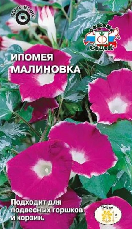 Семена Ипомея Малиновка, 0,25 г - фото