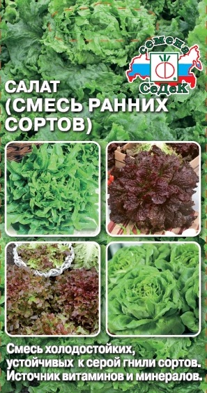 Семена Салат Смесь ранних сортов, 1 г - фото