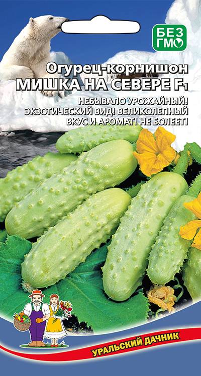 Семена Огурец-корнишон Мишка на Севере, 12 шт - фото