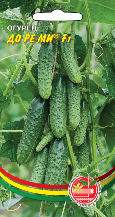 Семена Огурец До ре ми, 10 шт - фото