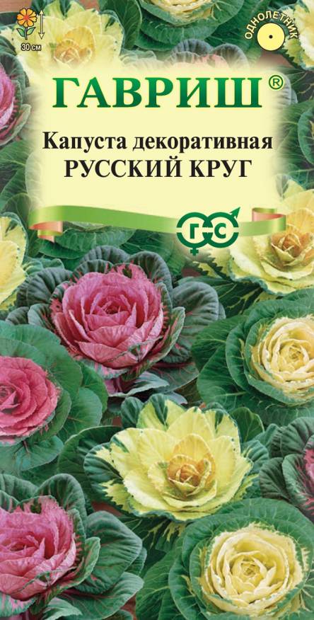 Семена Капуста декоративная Русский круг, 0,1 г - фото