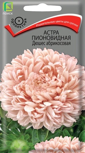 Семена Астра пионовидная Дюшес абрикосовая, 0,3 г - фото