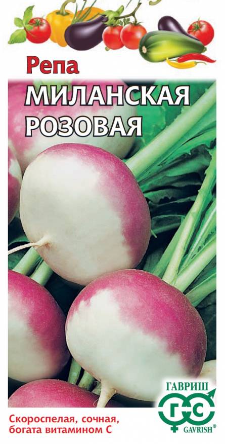 Семена Репа Миланская розовая, 0,5 г - фото