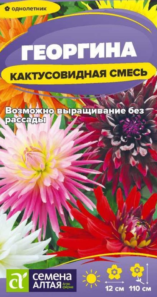 Семена Георгина Кактусовидная смесь, 0,1 г - фото