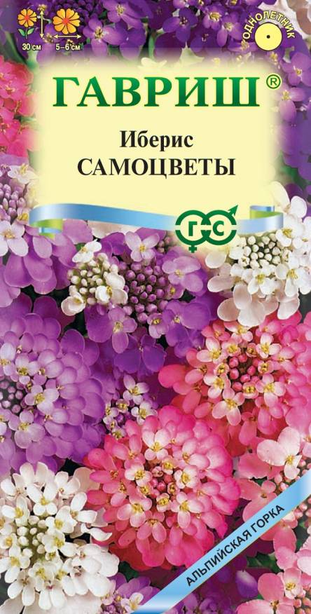 Семена Иберис Самоцветы, 0,1г - фото
