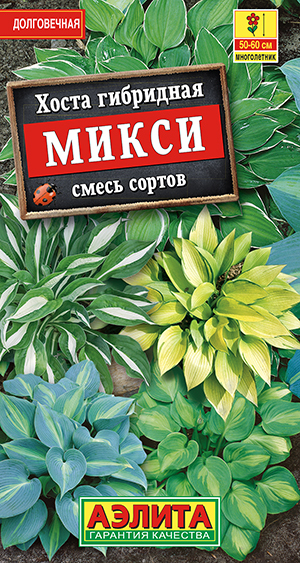 Семена Хоста гибридная Микси, смесь сортов, 7 шт - фото