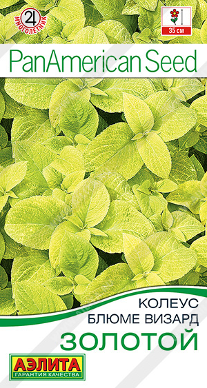 Семена Колеус блюме Золотой, 5 шт - фото