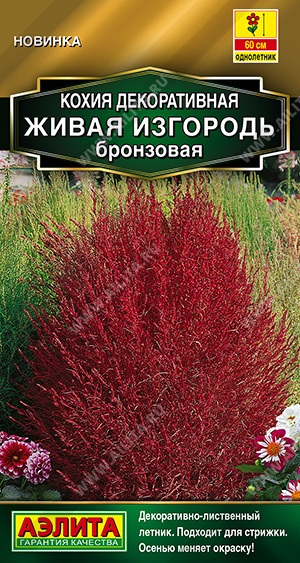 Семена Кохия Живая изгородь бронзовая, 0,1 г - фото