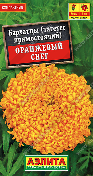 Семена Бархатцы Оранжевый снег прямостоячие, 0,1 г - фото