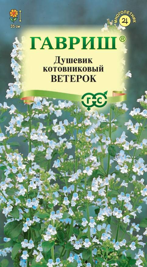 Семена Душевик Ветерок, 0,01 г - фото