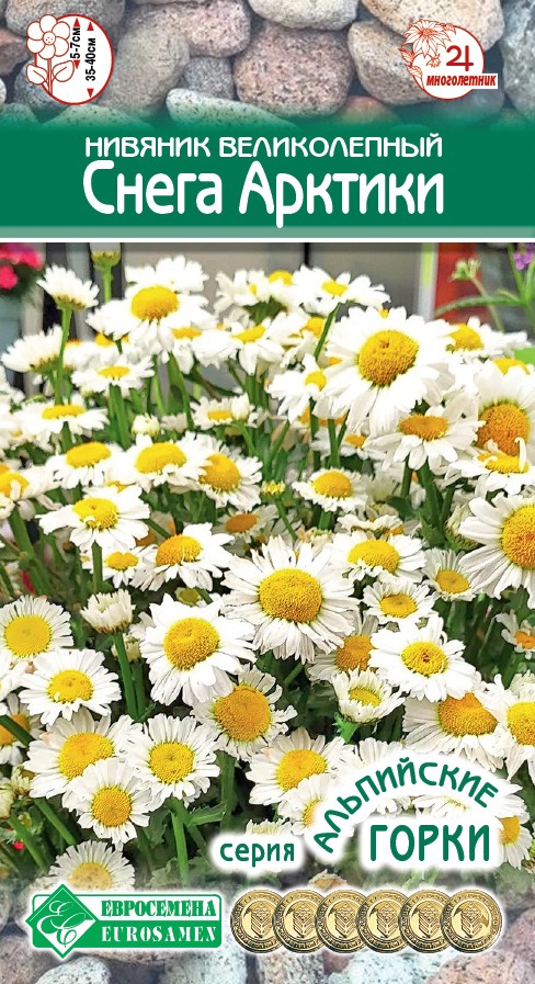 Семена Нивяник великолепный Снега Арктики, 5 шт - фото