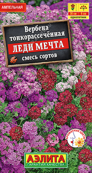 Семена Вербена Леди мечта смесь сортов, 30 шт - фото