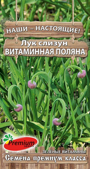 Семена Лук слизун Витаминная поляна, 0,3 г - фото