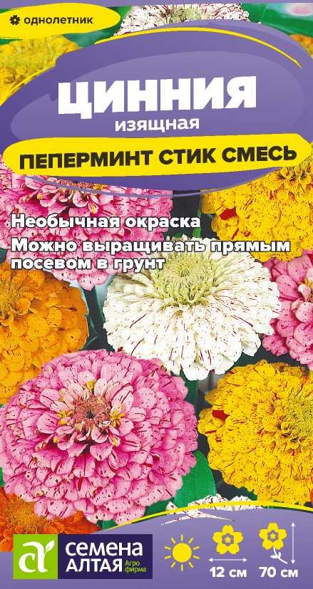 Семена Цинния Пеперминт Стик смесь, 0,2 г - фото
