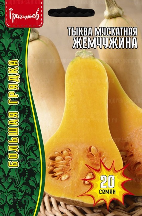 Семена Тыква Жемчужина мускатная, 20 шт - фото, картинка Семена Тыква Жемчужина мускатная, 20 шт - фото