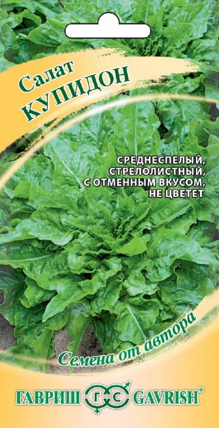 Семена Салат листовой Купидон, 0,5 г - фото