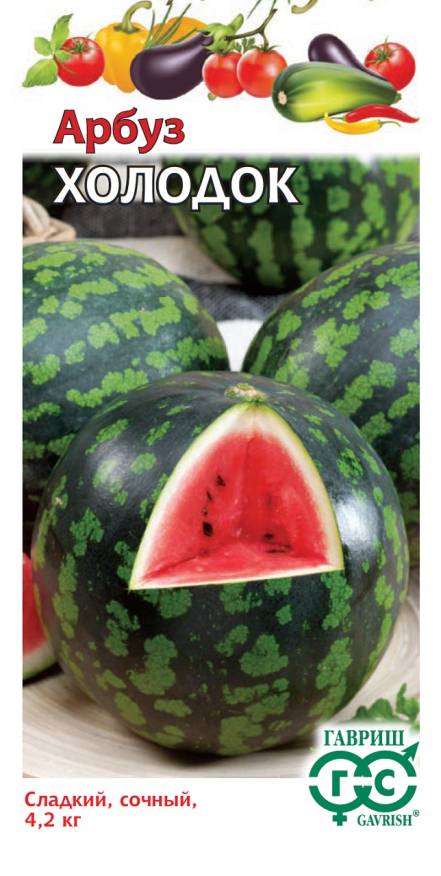 Семена Арбуз Холодок, 1г Гавриш - фото