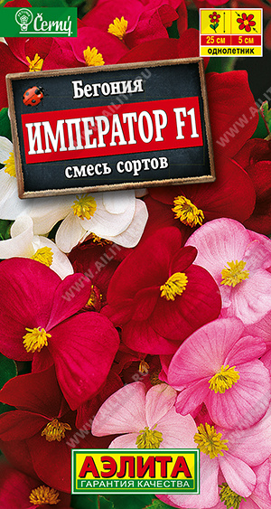 Семена Бегония вечноцветущая Император смесь окрасок F1, 10 шт - фото