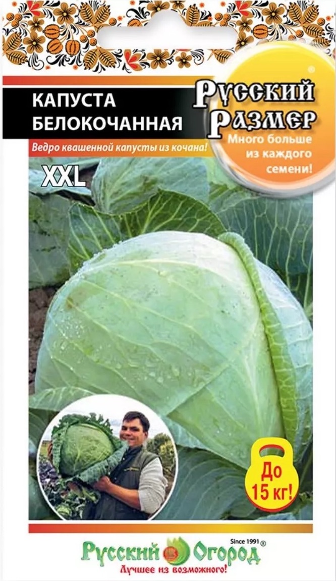 Семена Капуста белокочанная Русский Размер, 50 шт - фото