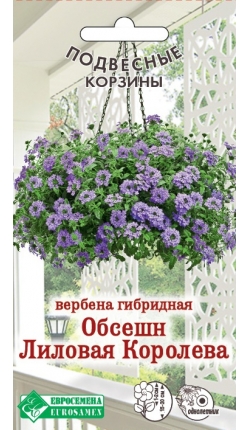 Семена Вербена гибридная Обсешн Лиловая Королева, 5 шт - фото