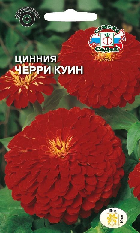 Семена Цинния Черри Куин, 0,5 г - фото