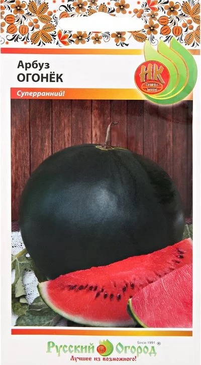 Семена Арбуз Огонек, 1 г Русский Огород - фото