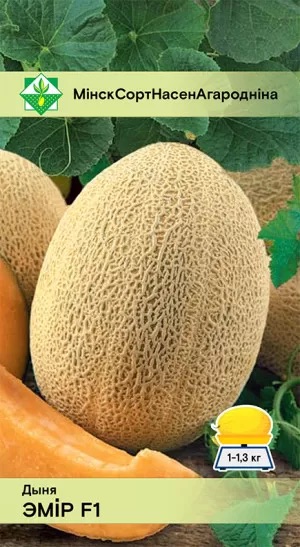 Семена Дыня Эмир F1, 5 шт - фото