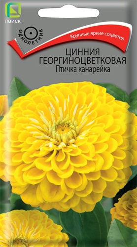 Семена Цинния георгиноцветковая Птичка канарейка, 0,4 г - фото