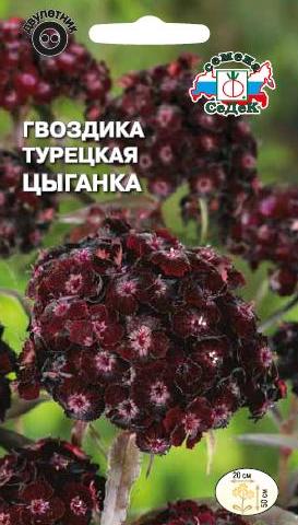 Семена Гвоздика турецкая Цыганка, 0,3 г - фото