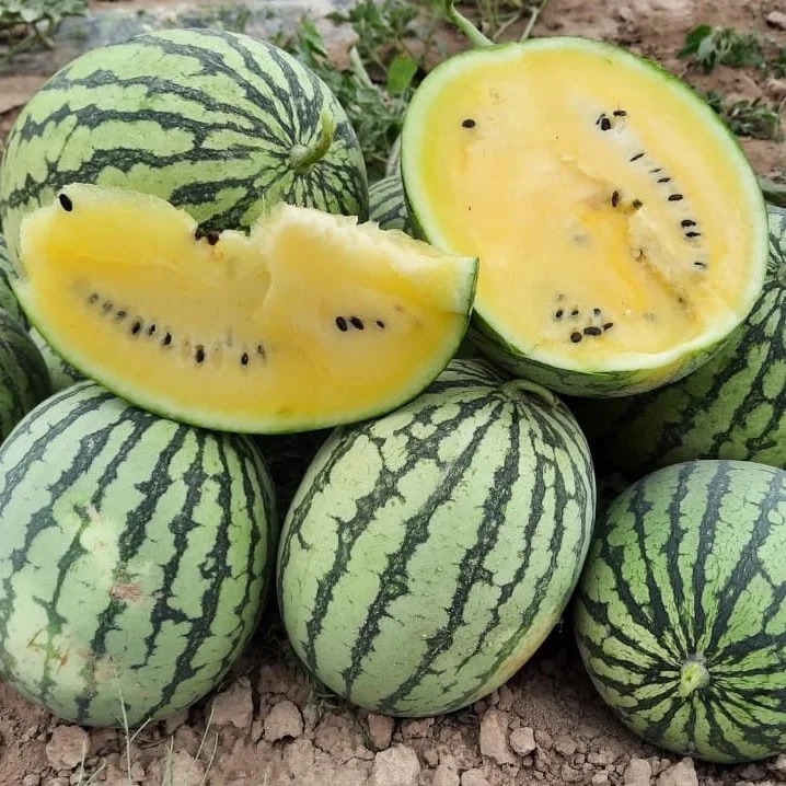 Семена Арбуз Шампань F1, 5 шт - фото