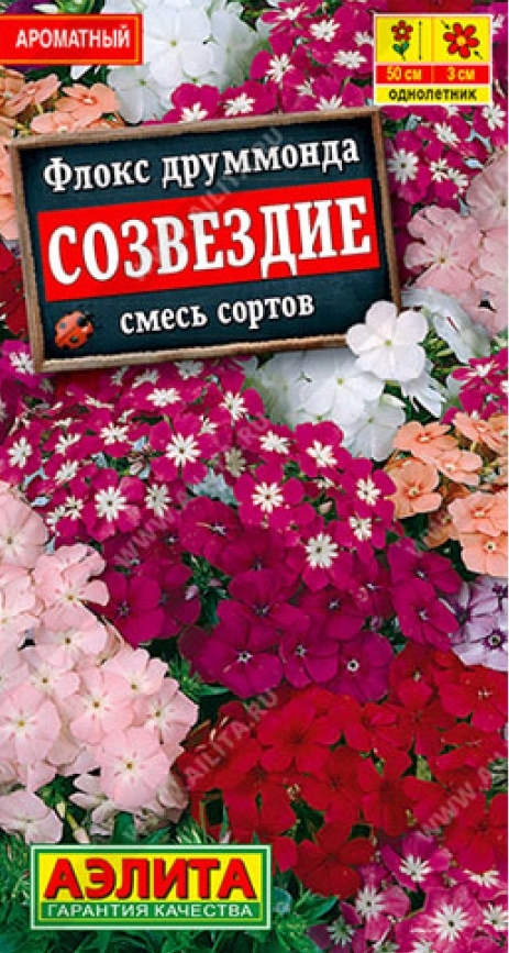 Семена Флокс друммонда Созвездие, смесь окрасок, 0,3 г - фото