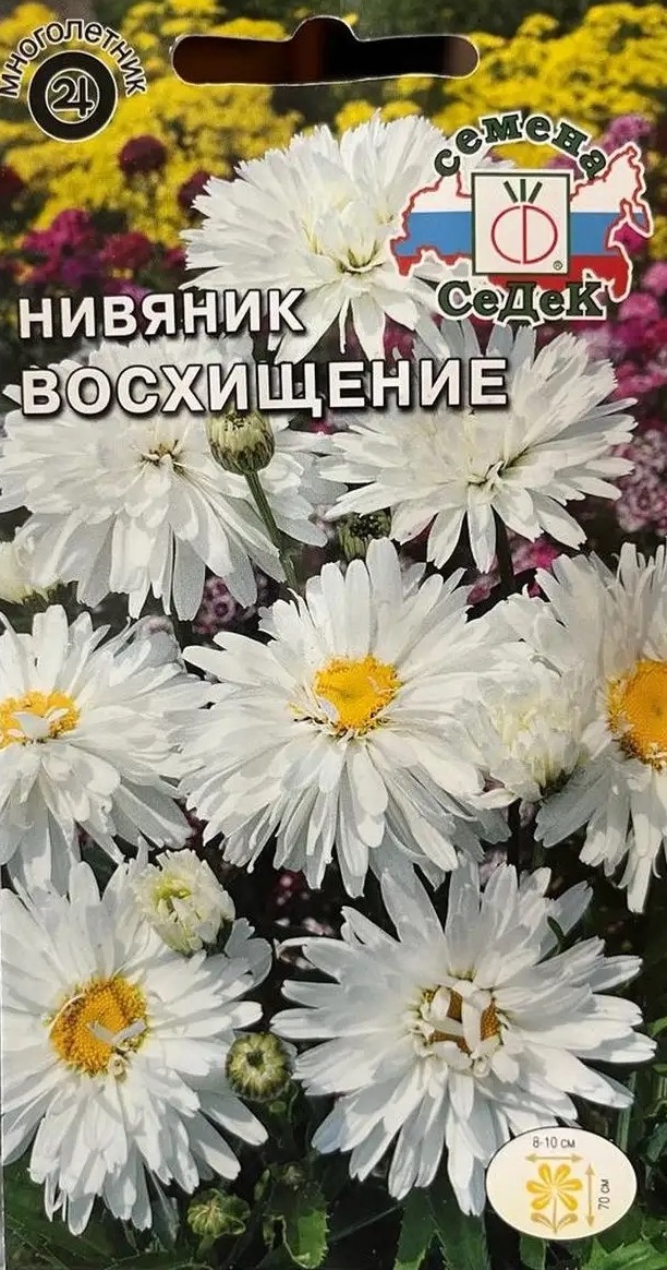 Семена Нивяник Восхищение, 0,1 г - фото