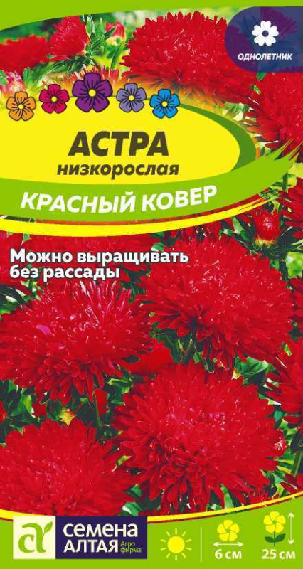 Семена Астра Красный ковер низкорослая, 0,2 г - фото