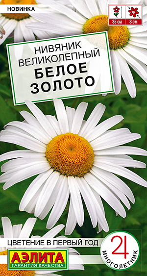 Семена Нивяник великолепный Белое Золото, 0,1 г - фото