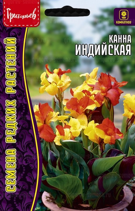Семена Канна Индийская, 3 шт - фото, картинка Семена Канна Индийская, 3 шт - фото