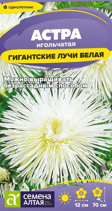 Семена Астра Гигантские лучи белая, 0,2 г - фото