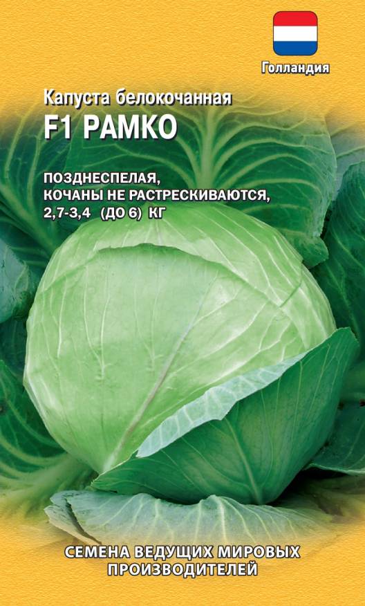 Семена Капуста белокочанная Рамко F1, 10 шт, Гавриш - фото
