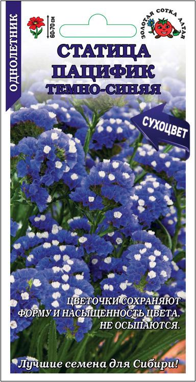 Семена Статица Пацифик темно-синяя, 0,05 г - фото