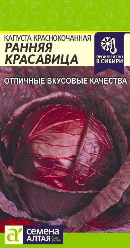 Семена Капуста Краснокочанная Ранняя Красавица, 0,3 г - фото