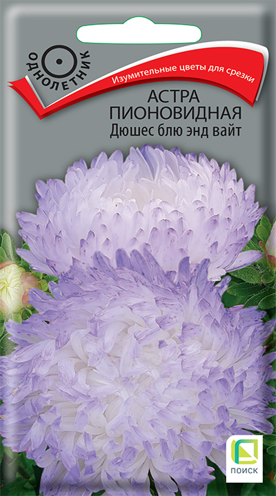 Семена Астра пионовидная Дюшес блю энд вайт, 0,3 г - фото